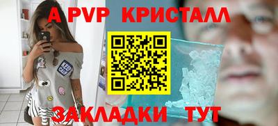 индика Заводоуковск