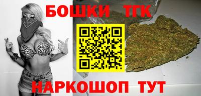 индика Заводоуковск
