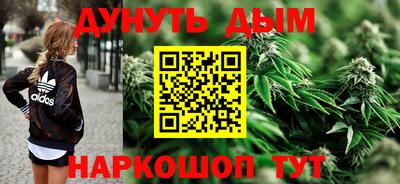 индика Заводоуковск