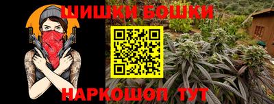 индика Заводоуковск