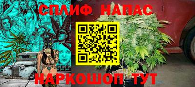 индика Заводоуковск
