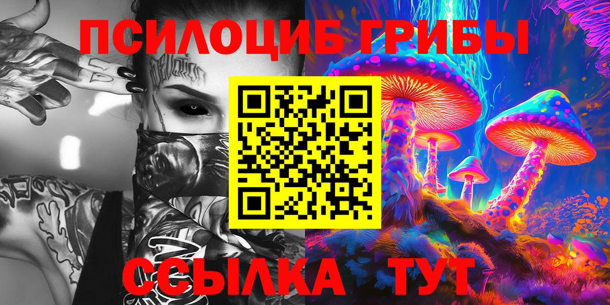 Псилоцибиновые грибы Psilocybine cubensis Ирбит